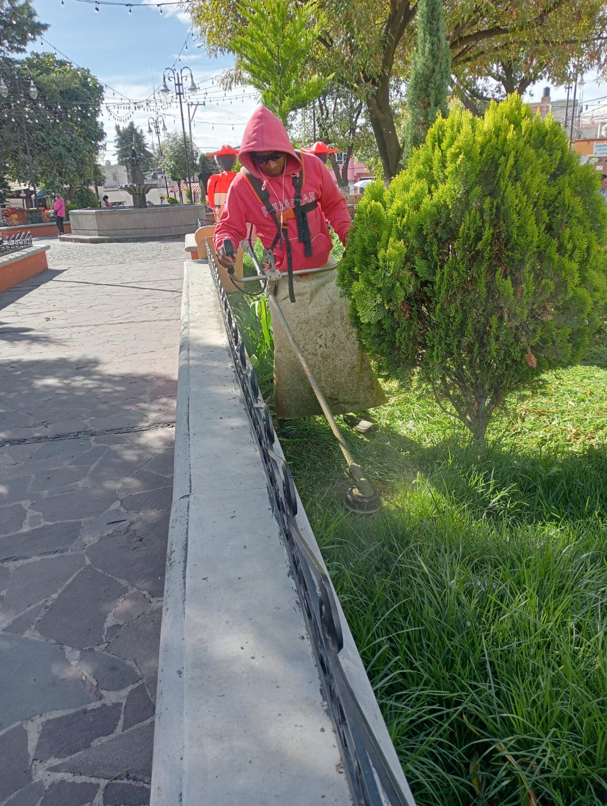 SERVICIOS MUNICIPALES REFUERZA LABORES DE LIMPIEZA Y MANTENIMIENTO EN ...