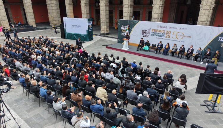 WhatsApp_Image_2025-11-28_at_13.23.36__1_