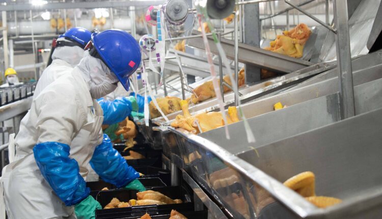 260306 JBS CNOG DÍA DE LA GANADERÍA-35