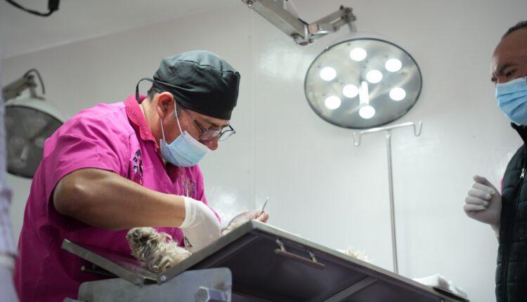 2026-05-11 at 1.29.20 PM 1